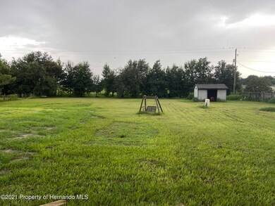 IMG_3768 - Copy