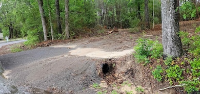 TBD County Road 336, Jasper, TX 75951 - photo 2