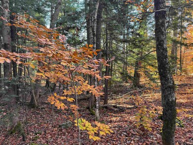 9 Huttwil Dr, Ossipee, NH 03849 - photo 5