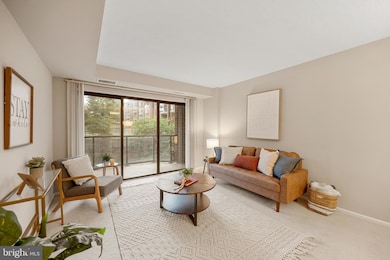 The Astoria unit 112, Arlington, VA 22201 - photo 4