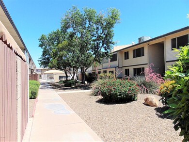 2606 W Berridge Ln #C-108 (2)