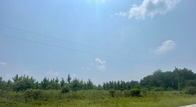 000 Doe Hill Rd, Poulan, GA 31781 - photo 2