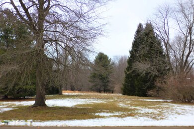 9415 1/2 Union Pier Rd, Union Pier, MI 49129 - photo 4