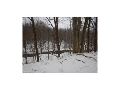 4620 State Route 167 W, Pierpont, OH 44082 - photo 5