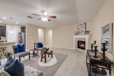 10906 Yaupon Holly, Helotes, TX 78023 - photo 6