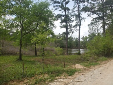 Lot 2 Magnolia Springs, Plantersville, TX 77363 - photo 7