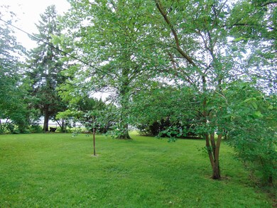 Large Treed Backyard