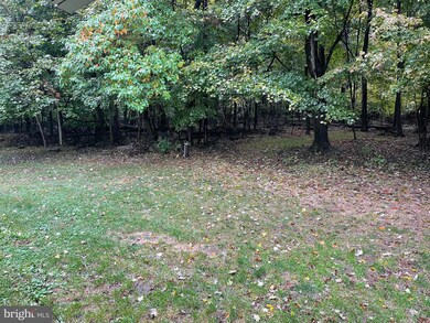 6432 Shaw Rd, Keyser, WV 26726 - photo 5