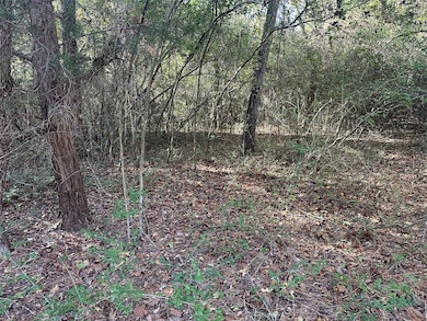 TR 2 Cr 219, Buffalo, TX 75831 - photo 2