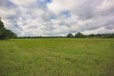 1035 Hollmig Ln, Fredericksburg, TX 78624 - photo 4