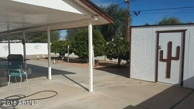 BACK YARD #2