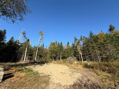 Lot 25 H Boot Cove Rd, Lubec, ME 04652 - photo 5