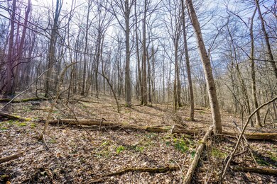 33996 W Buckingham Rd, Logan, OH 43138 - photo 6