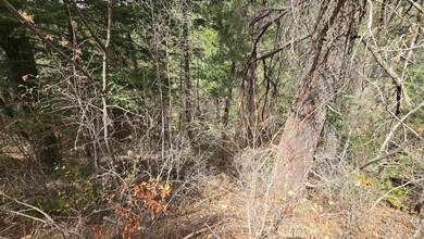 Lot2 Running Water Trail unit 2, High Rolls, NM 88317 - photo 3