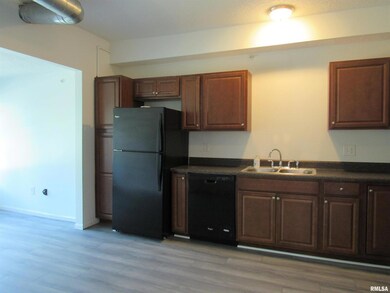 1219 N Perry St unit 2, Davenport, IA 52803 - photo 6