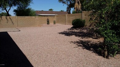 Evergreen Yard