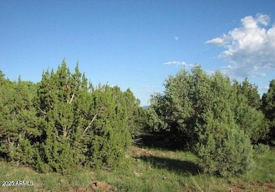 Sec 29 T14n R17e: Parcel 6 --, Heber, AZ 85928 - photo 5