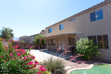 Back yard
