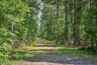 DSC_5209-Web