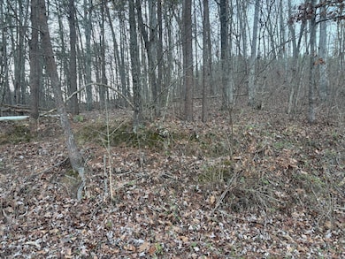 0 Twin Lakes Rd, Lafayette, GA 30728 - photo 6