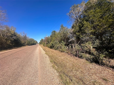 Lot 9D Foothill Rd, Camp Swift, TX 78602 - photo 5