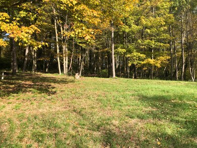 0 Ore Hill Rd unit 24132985, Salisbury, CT 06039 - photo 3