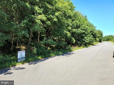 0 Marsh Hawk Way unit WVJF2005216, Shepherdstown, WV 25443 - photo 3