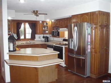 140 S East St, Virginia, IL 62691 - photo 6