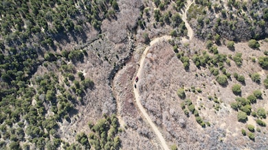 dji_fly_20251101_114642_363_176202019363