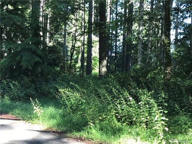 10420 Matthews, Anderson Island, WA 98303 - photo 3