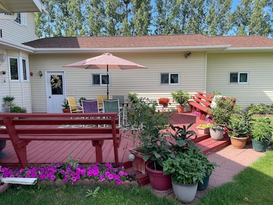 29852 400th Ave, Roseau, MN 56751 - photo 3