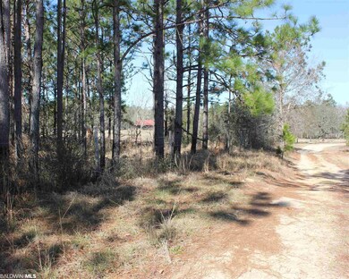 28141 New Hope Church Rd, Robertsdale, AL 36567 - photo 5