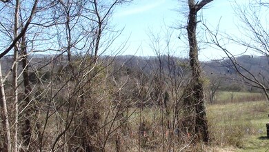 View out from top of driveway