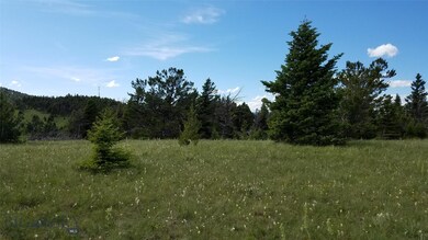 WEST FACING VIEW FROM LOT.
