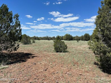 230 Camp Rd, Ash Fork, AZ 86320 - photo 5