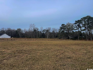 Lot 7 Rena Ln, Conway, SC 29527 - photo 4
