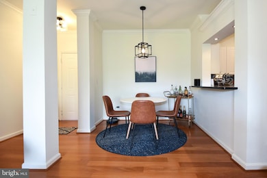 4551 Strutfield Ln unit 4213, Alexandria, VA 22311 - photo 3