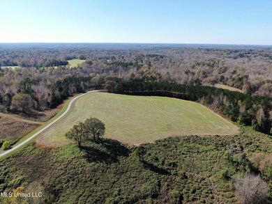 DJI_0348