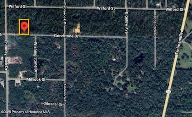 0 Grindstone Dr Lot 14, Webster, FL 33597 - photo 2