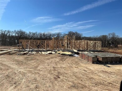 202 Ernest Trail, Springtown, TX 76082 - photo 2