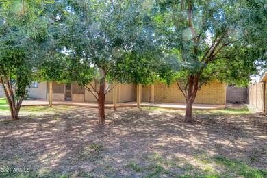 Mature Trees