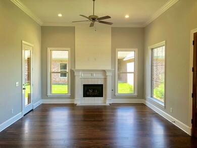 117 St Croix Ln, Madison, MS 39110 - photo 4