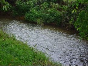 Flowing Creek