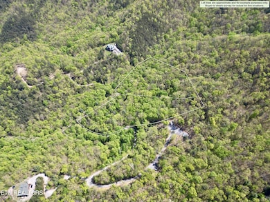 981 Critter Valley Way, Newport, TN 37821 - photo 7