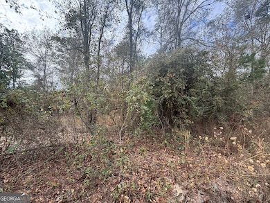 PARCEL A Wiggum Rd & St James Rd, Cochran, GA 31014 - photo 3