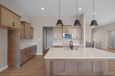 110 River Grove Ct, St. Peters, MO 63366 - photo 6
