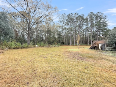 1613 Cavanaugh Rd, Ritter, SC 29488 - photo 5