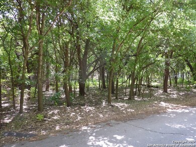 19202 Lovers Ln, Helotes, TX 78023 - photo 3