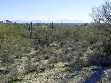 0 N Campbell Ave unit 21400292, Tucson, AZ 85718 - photo 3