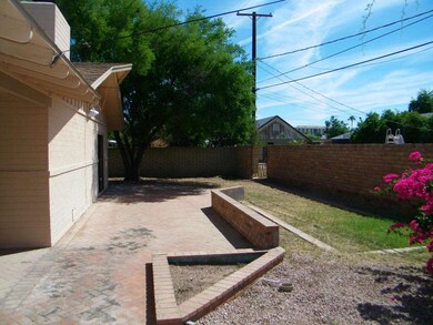 Backyard1